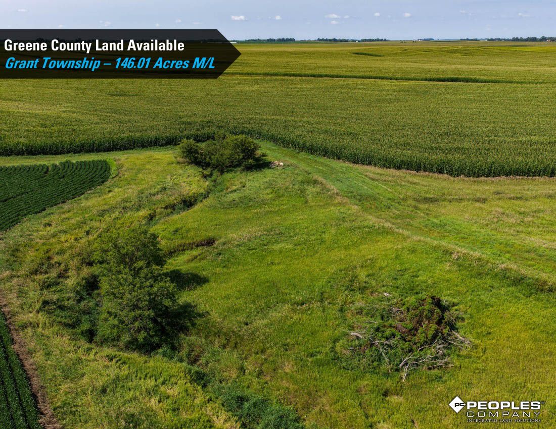Listing Photo: Greene-County-Iowa-Farmland-Available-146-Acres-19686-Jefferson (15)